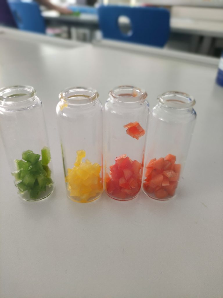 2025_12_PABS_Pflanzenfarbstoffe2