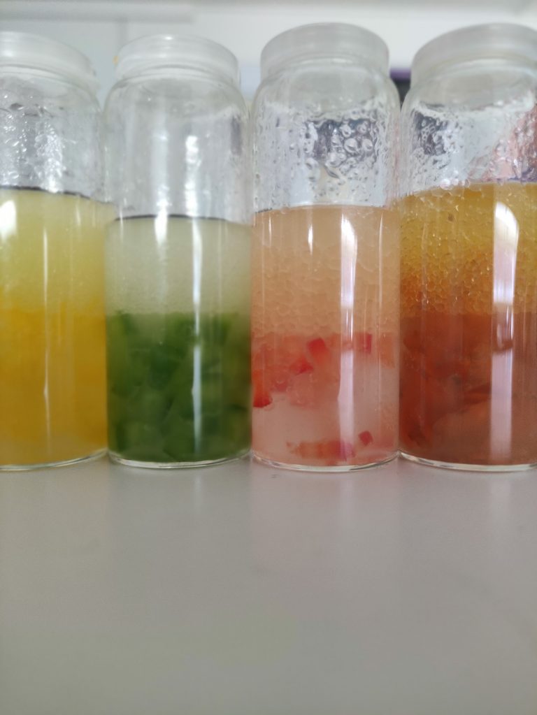 2025_12_PABS_Pflanzenfarbstoffe3